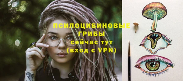 spice Алзамай