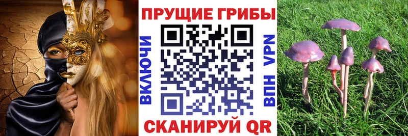Галлюциногенные грибы Magic Shrooms  Ясный 